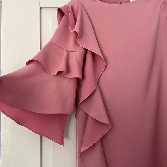 Ted Baker Pink Eicio Ruffle Ruffle Tunic Dress - Picture 12 of 15